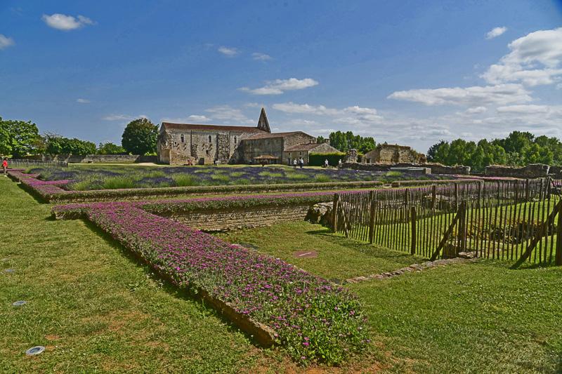 min 2025 06 08 Marais Poitevin 175